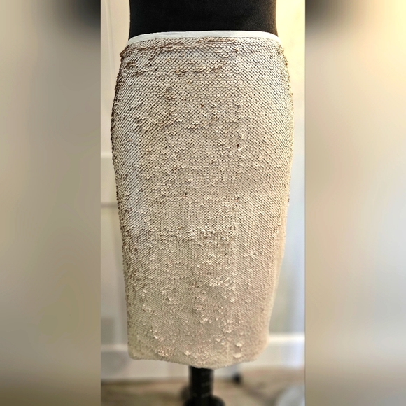 Top Shop sequin skirt